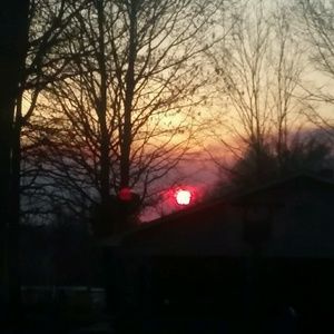 Meet your Posher, Pickle